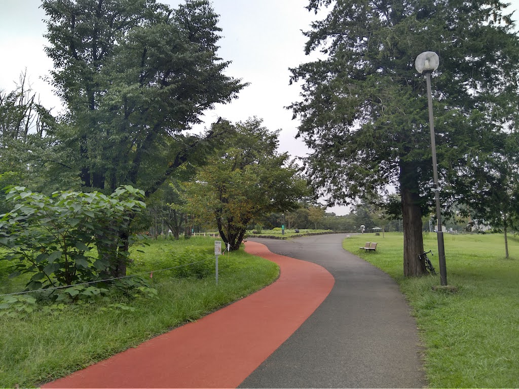 和光樹林公園800mコース