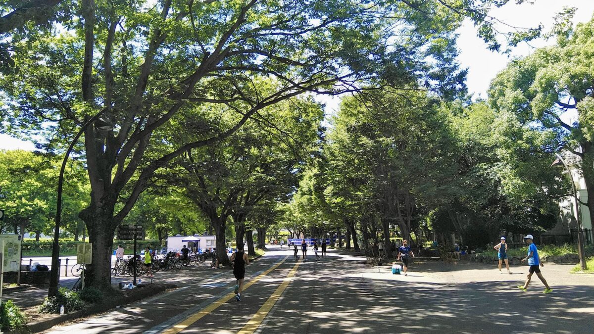 駒沢公園2.5kmランニングコース_6